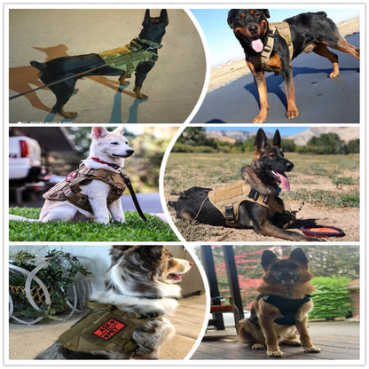 Tactical Dog Harness Training Vest 