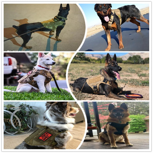 Tactical Dog Harness Training Vest 